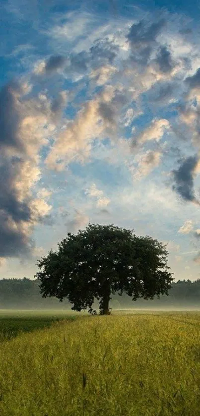 Solitary tree under a dramatic sky landscape wallpaper.