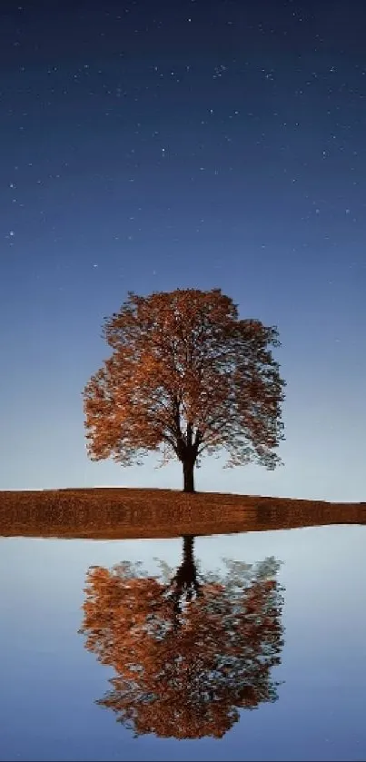 Lone tree reflects in calm water under a starry night sky.