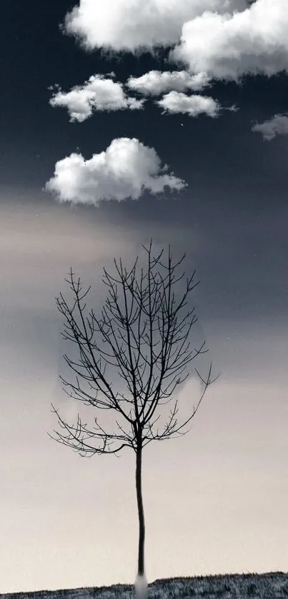 A solitary tree under a cloudy night sky, perfect for a serene mobile wallpaper.