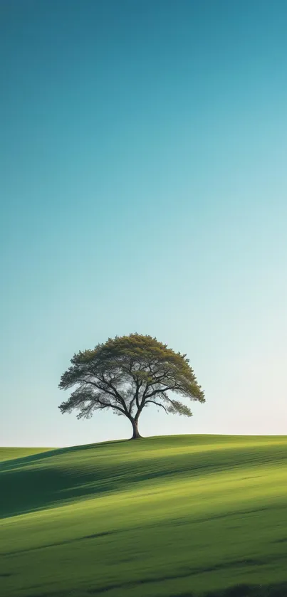 Serene landscape with single tree and rolling hills.