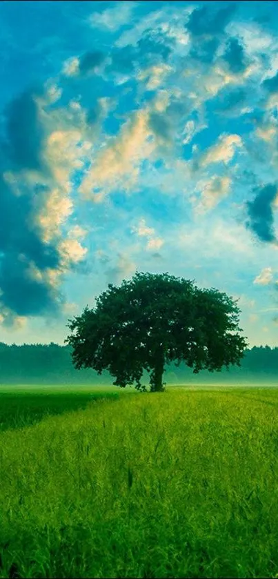 A solitary tree on a green field with a vibrant blue sky.