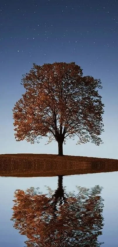 Serene tree and starry sky reflecting on a tranquil lake wallpaper.