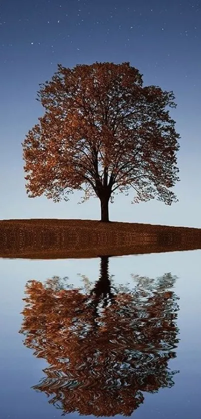 A lone tree reflected in calm water under a starry sky, creating a serene scene.