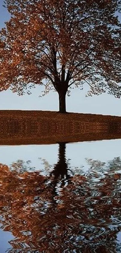 Tree with reflection on a serene lake under a clear blue sky.