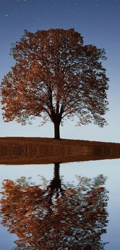 Solitary tree reflecting in calm water under a starlit sky.