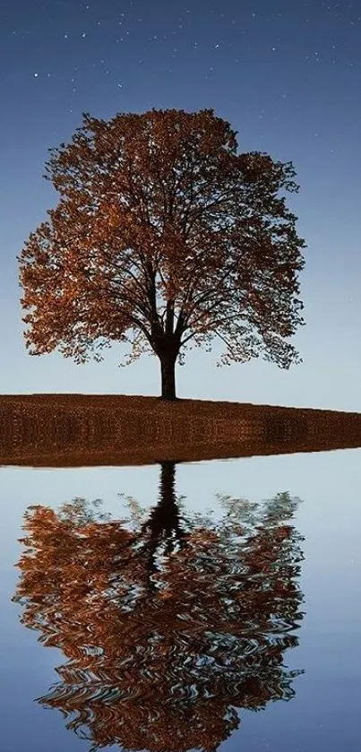 Lone tree reflection in calm waters under a starry sky, serene mobile wallpaper.