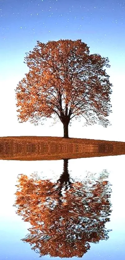 Majestic tree reflecting in water under starry sky wallpaper.