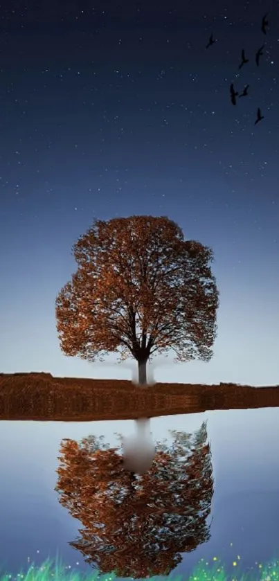 Serene tree reflection under a starry sky with calm water.