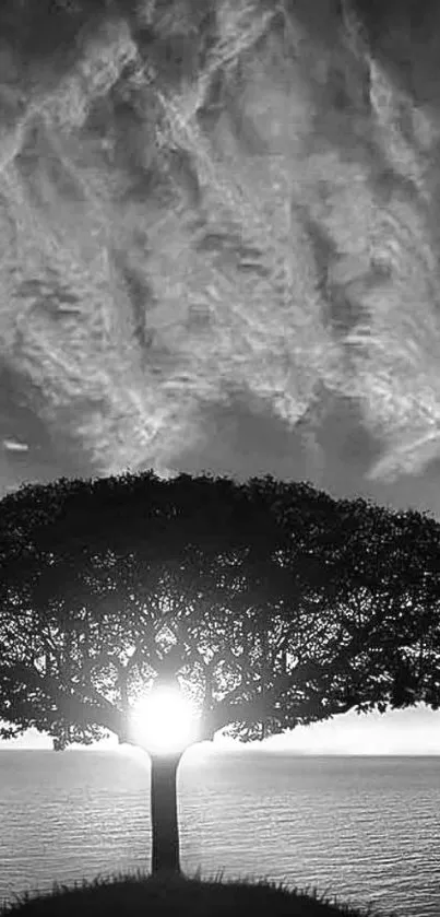 Monochrome tree silhouette with dramatic sky in background.