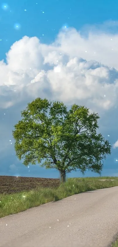 A lone green tree beside a road under a blue sky with clouds.