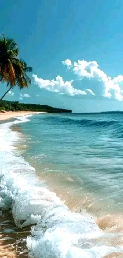 Tropical beach with palm trees and waves under a clear blue sky.