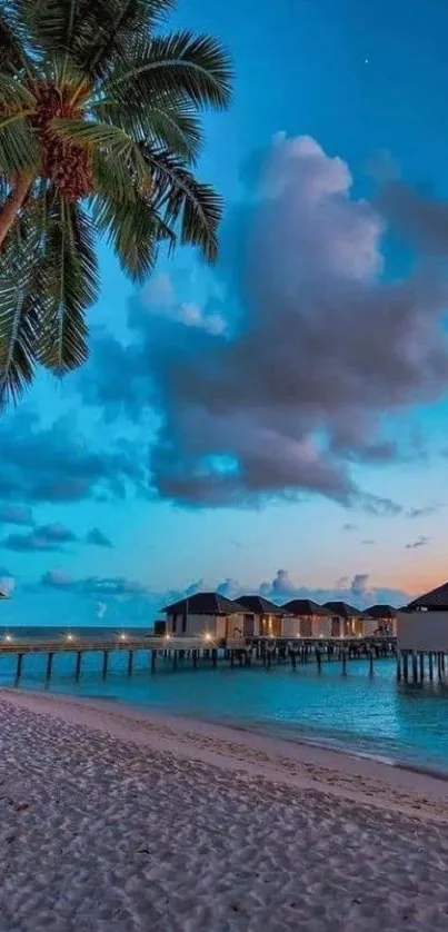 Beautiful tropical beach with palm trees under a starry night sky.