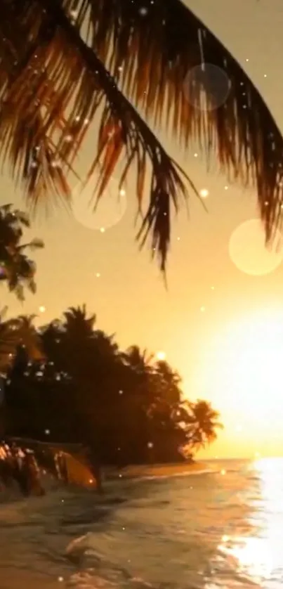 Tropical beach at sunset with palm trees and golden skies by the ocean.