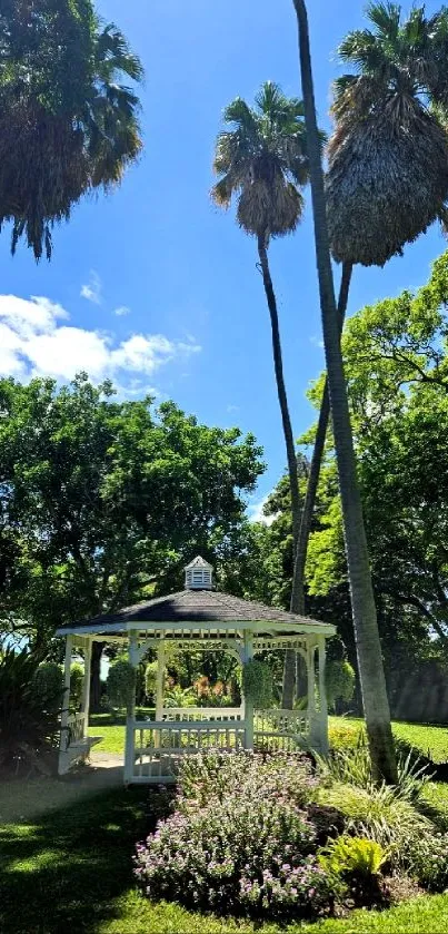 Serene garden with a gazebo and palm trees under a blue sky.