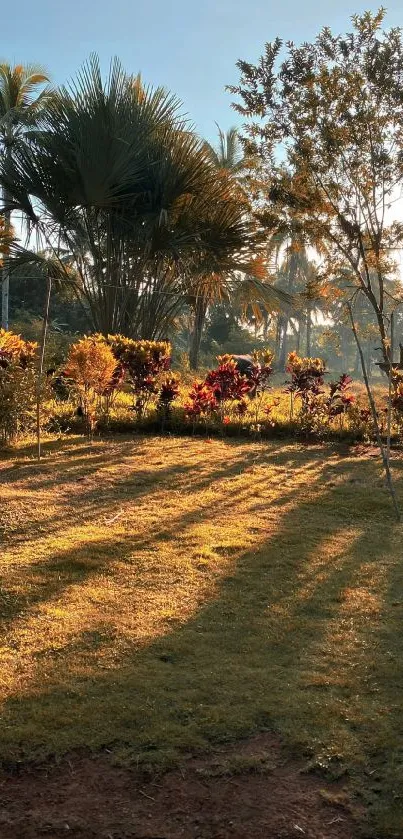 Sunlit tropical garden with palm trees and lush greenery.