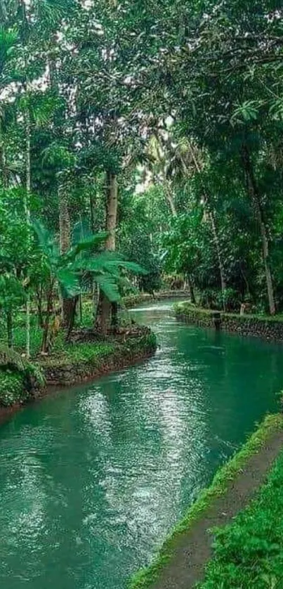 Lush tropical jungle river with vibrant greenery.