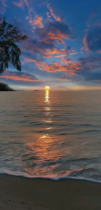 Serene tropical sunset over ocean with palm silhouette and colorful sky.