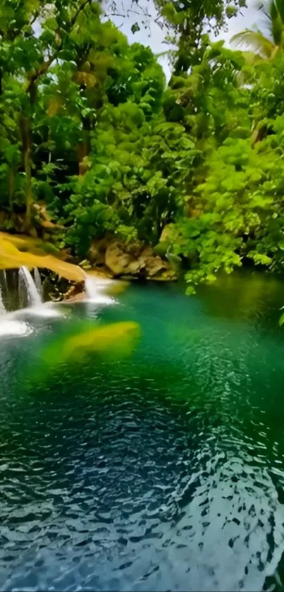 Tropical waterfall surrounded by lush greenery and calm waters.