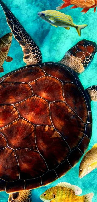 Majestic turtle swimming with fish in vibrant turquoise ocean.