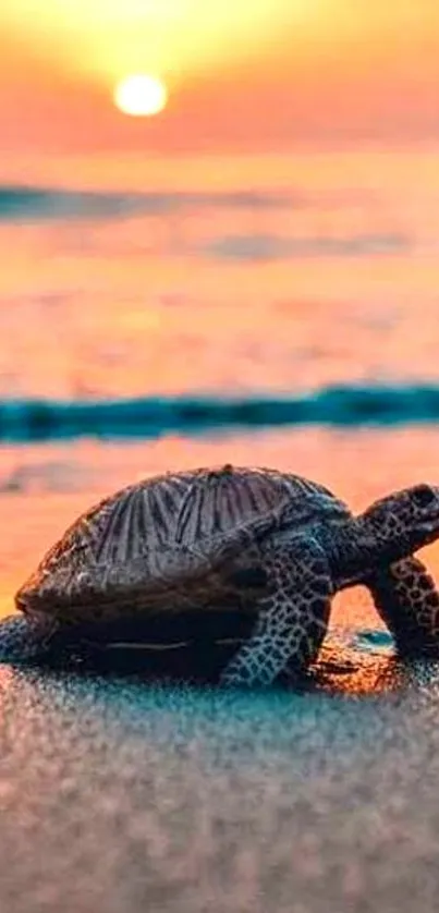 Turtle on beach at sunset, vibrant colors.