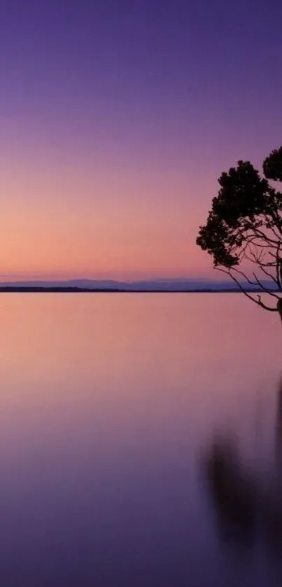 Serene twilight landscape with a tree silhouette on a mobile wallpaper.