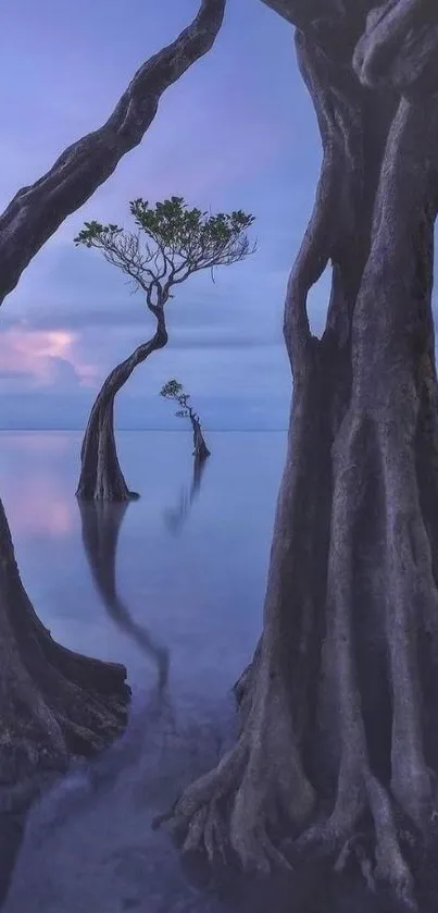 Mangrove trees under a purple twilight sky, reflecting in calm waters.