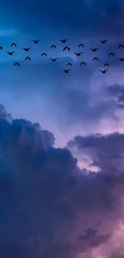 Flock of birds fly across twilight sky with clouds.