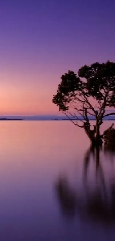 Lone tree reflecting in twilight waters.