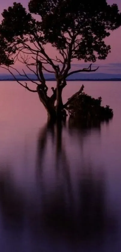 Purple twilight tree silhouette with water reflection.