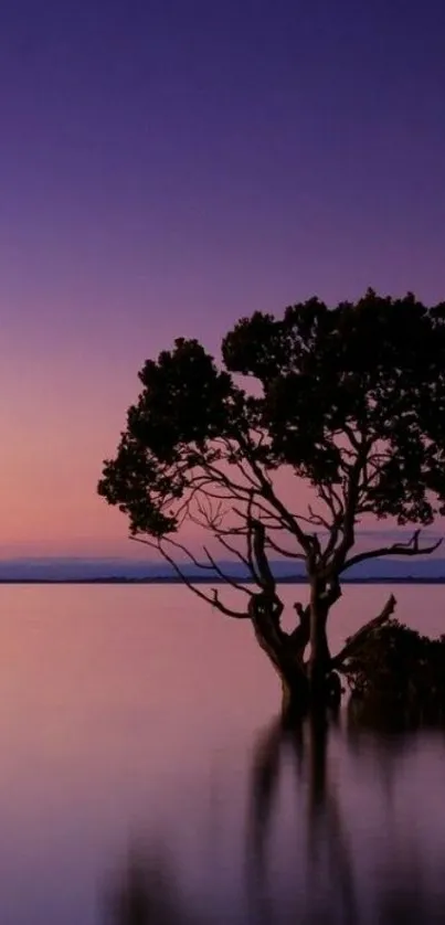 Solitary tree in twilight with purple sky and water reflection.