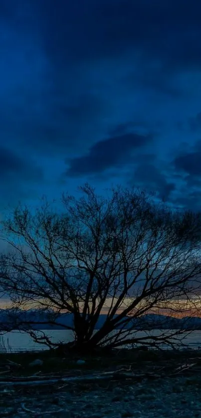 Silhouetted tree against a dark blue twilight sky.