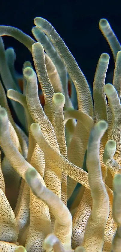Underwater view of beige coral anemone in the ocean depths.