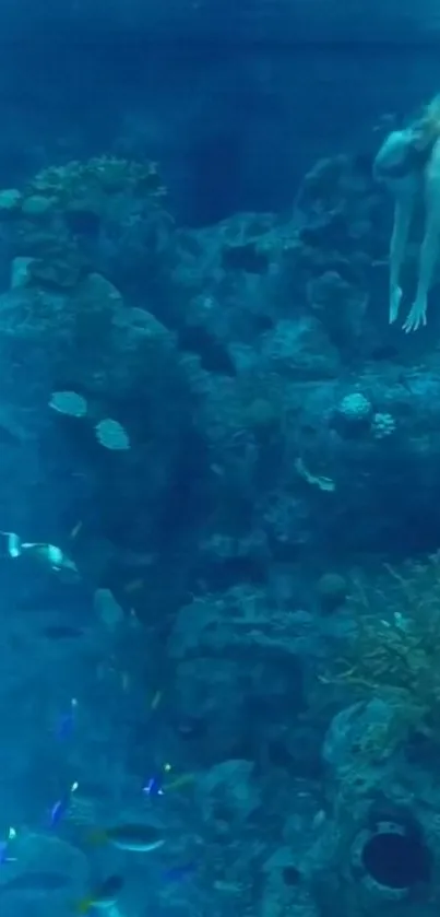 Diver exploring vibrant coral reefs underwater with marine life.