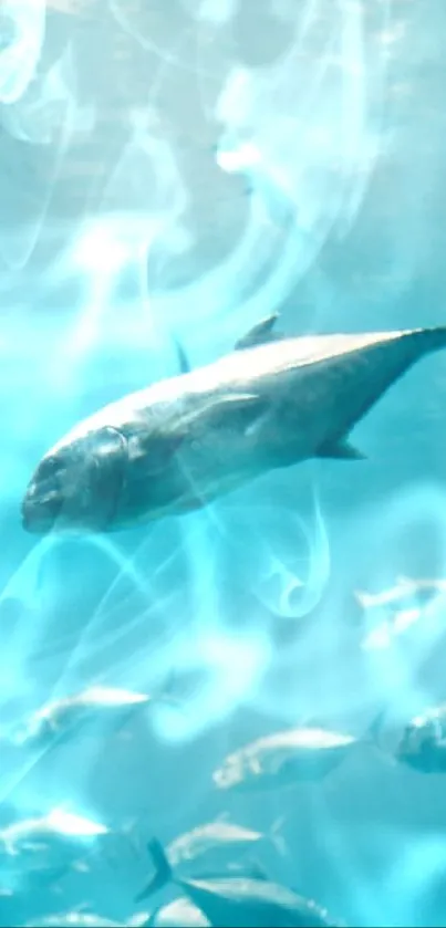 Blue underwater scene with fish.