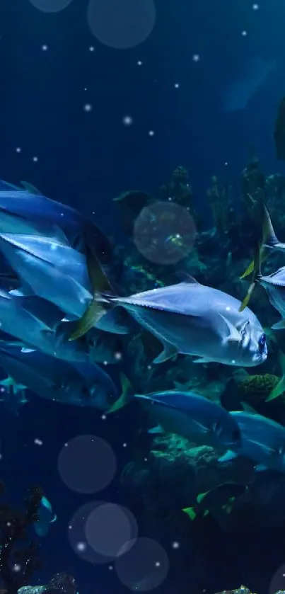 Underwater scene with fish and coral.