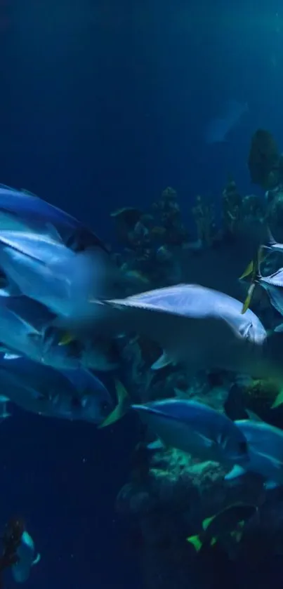Colorful fish swimming in a deep blue ocean scene.