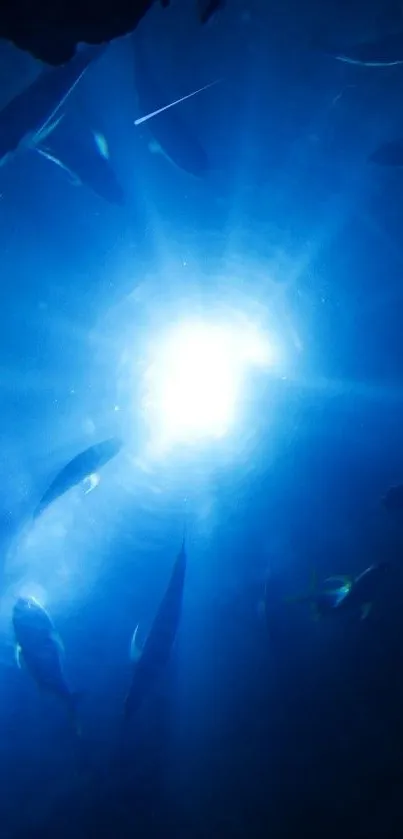 Radiant underwater scene with fish and light burst in ocean depths.