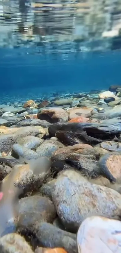 Serene underwater scene with pebbles and clear blue water.