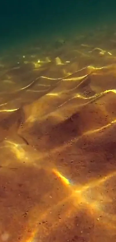 Golden underwater sand ripples with tranquil reflections.