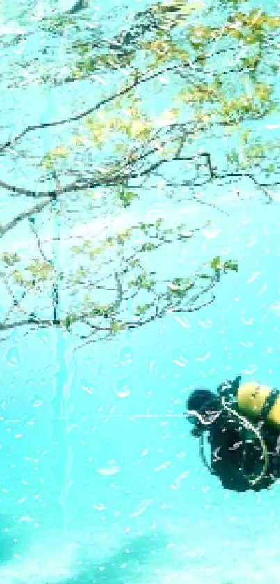 Diver explores serene underwater landscape with tree in view.
