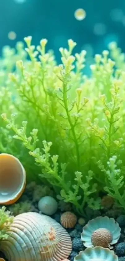 Underwater scene with green seaweed and seashells for mobile wallpaper.