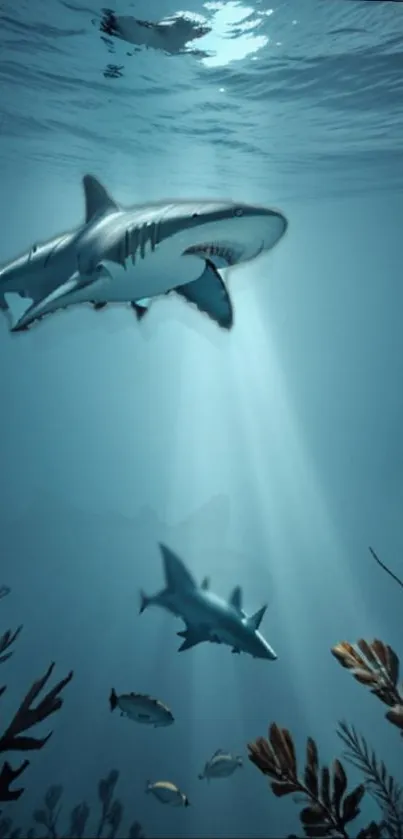 Majestic sharks swimming in a serene blue underwater scene.