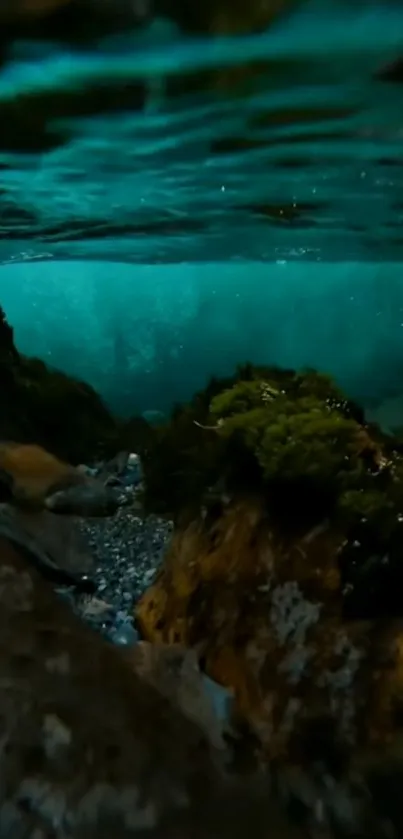 Serene underwater view with mossy rocks and clear blue water.