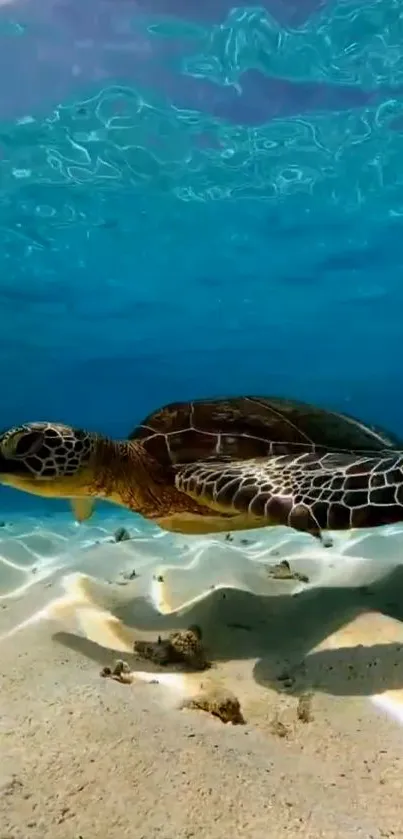 A serene underwater scene with a turtle swimming gracefully.