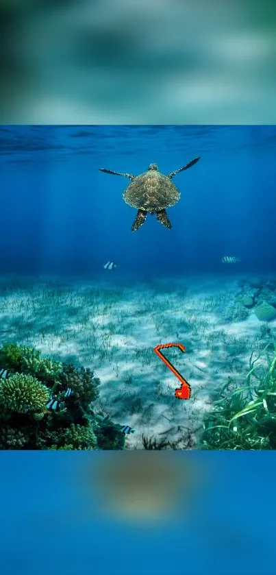 Sea turtle swimming above coral reefs in a clear blue ocean.