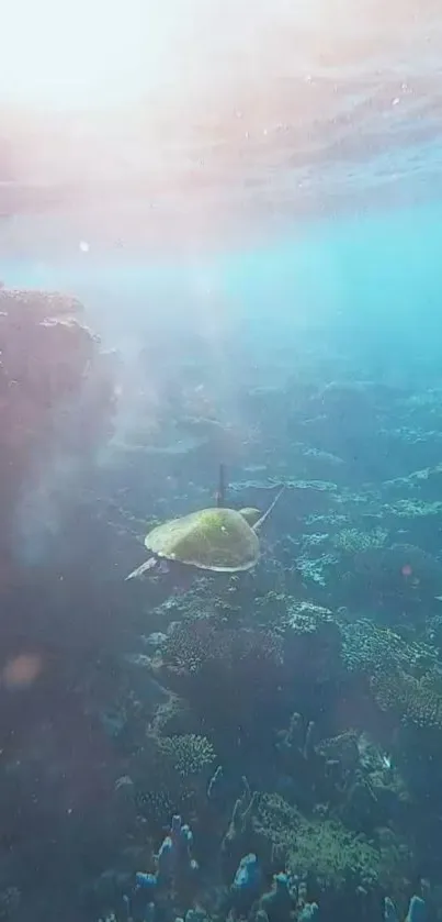 A turtle swims underwater amidst coral reefs with a teal hue.