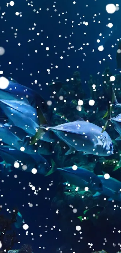 Blue ocean wallpaper with fish swimming underwater.