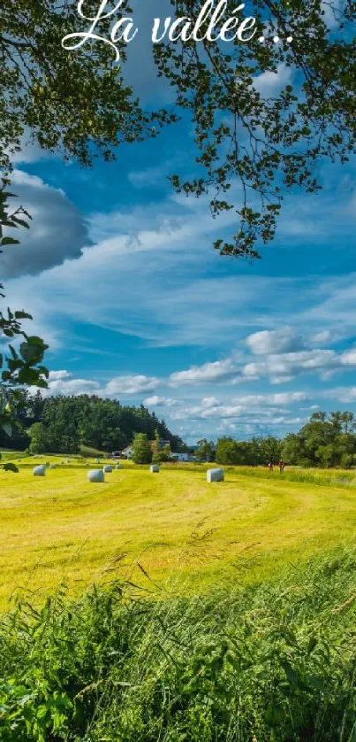 Serene valley landscape with blue skies and lush fields.