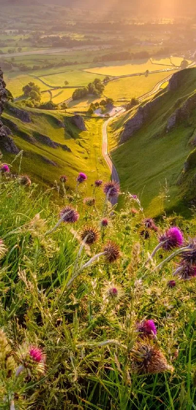 Picturesque valley with sunset, winding road, and vibrant flowers in foreground.