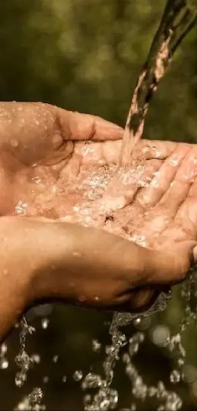 Hands catching flowing spring water against a lush green background.